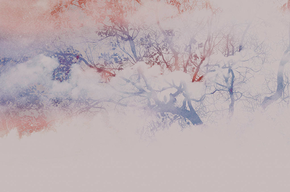 Дизайнерские обои Wall Street Vetve