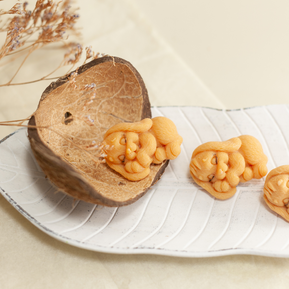 Мини кролик