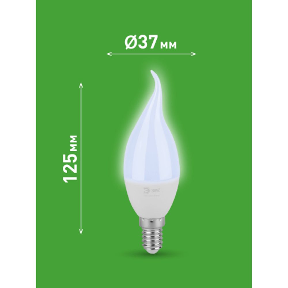 Лампа светодиодная ЭРА GREEN LINE LED BXS-8W-865-E14 GL 8Вт свеча на ветру холодный свет E14 | Лампы cветодиодные Свеча (B/C)