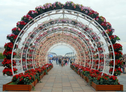 Арка Большая