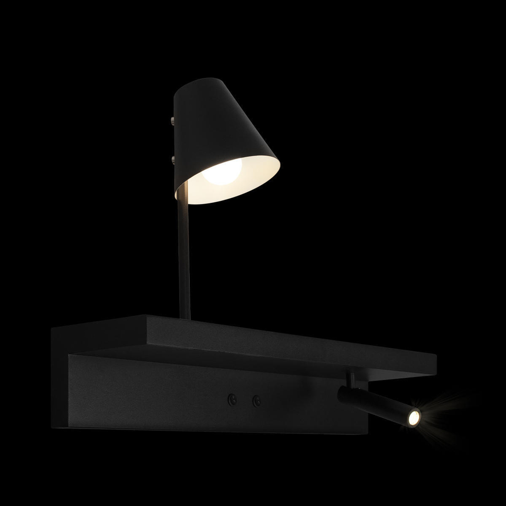 Светильник Настенный Shelf Loft It Black 10216/2W