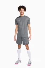 Шорты Nike Dri-FIT Academy