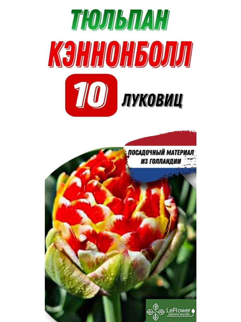 Тюльпан Луковица, Кэннонбол, 10шт