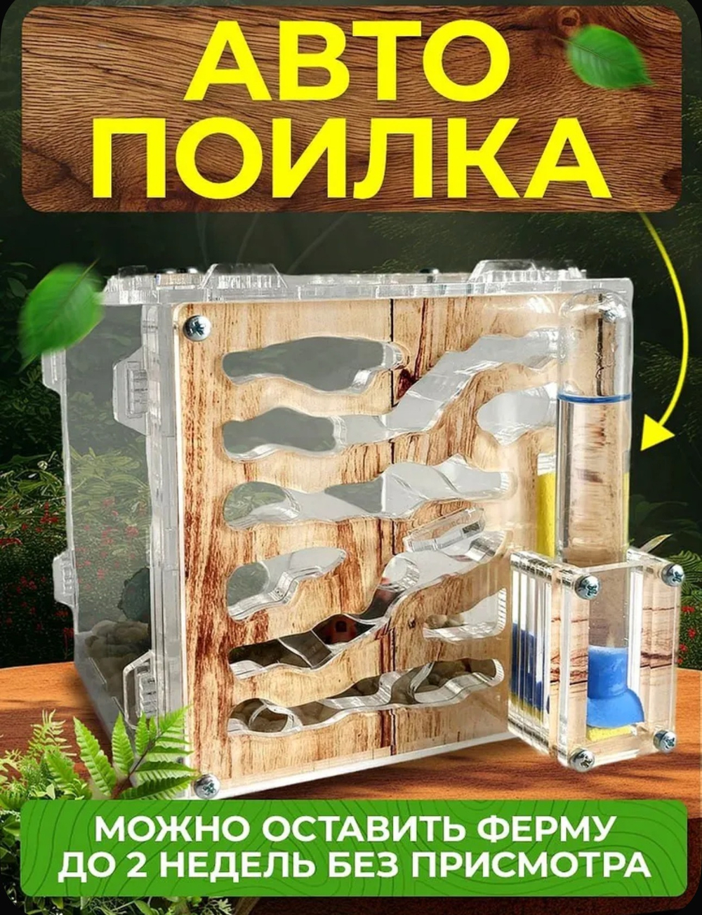 Муравьиная ферма «Кубик Древесный» с муравьями в подарок