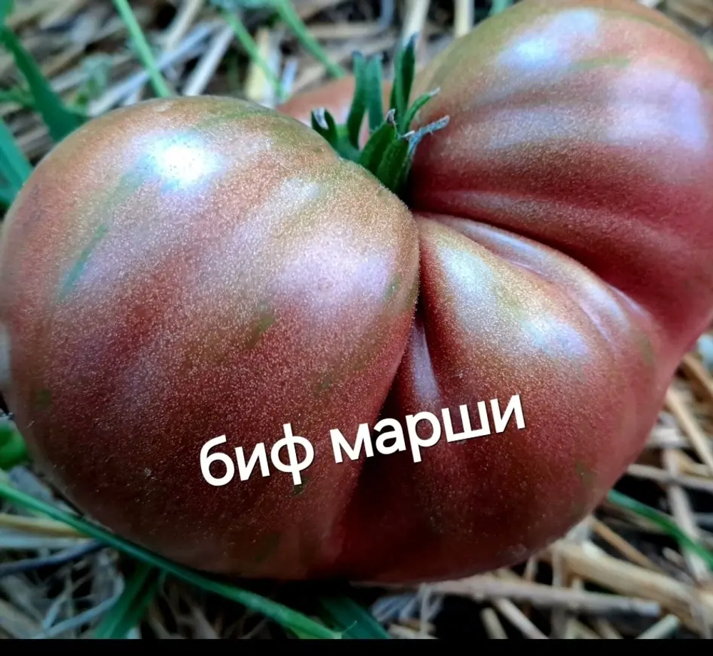 БИФШТЕКС МАРШИ (БИФ)
