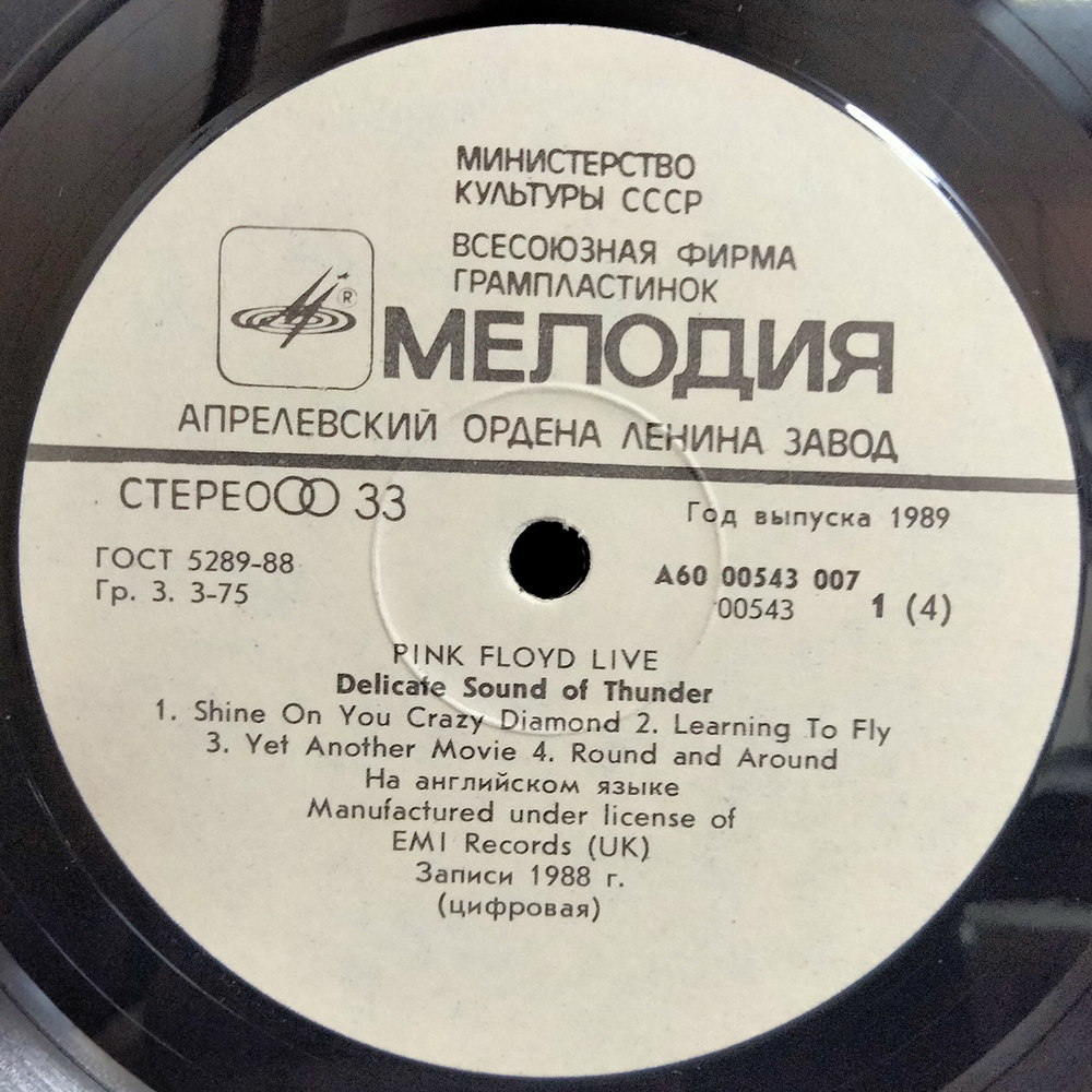 Pink Floyd / Delicate Sound Of Thunder (2LP)