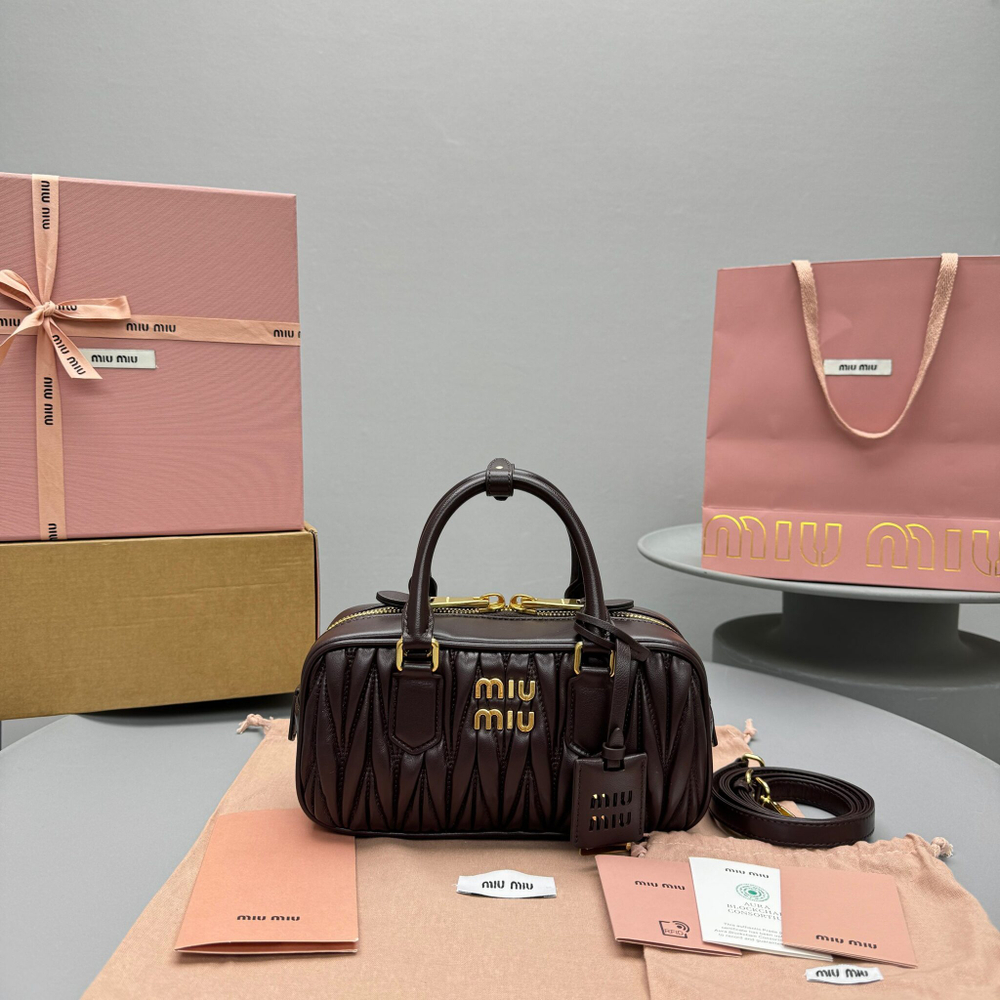 Miu Miu Arcadie Bag 22 cm