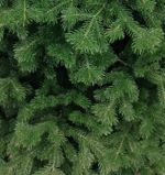 Ель искусственная «Делия» (Литая хвоя) 210 см / 2,1 м