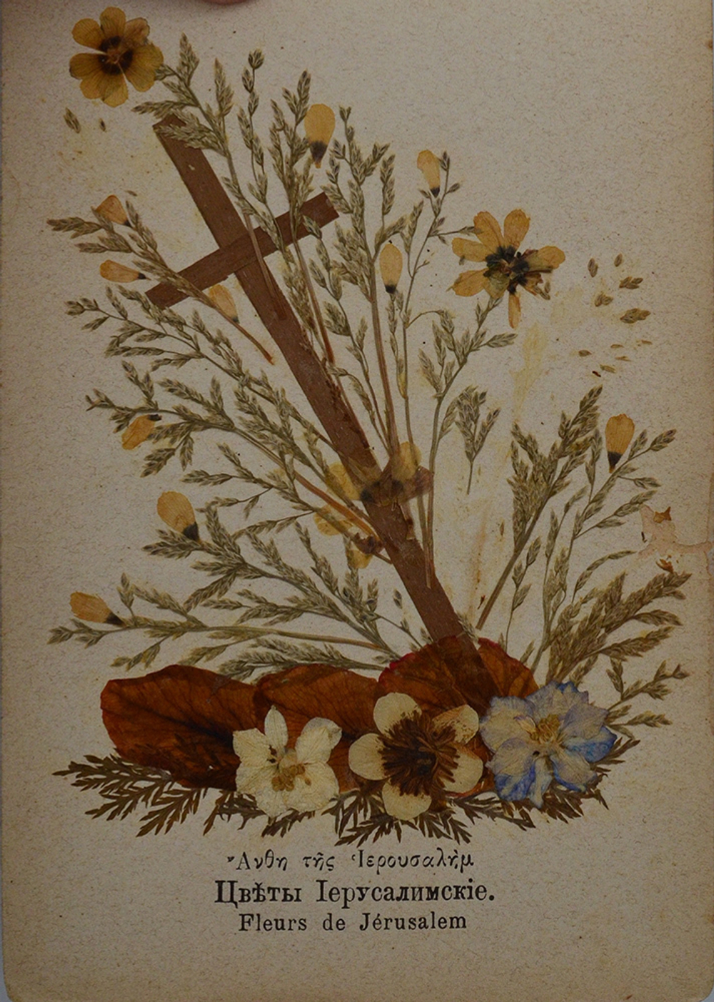 Уникальный Альбом-сувенир. Цветы и виды Святой Земли. Подарочный ал 23 видами Святой Земли 1900