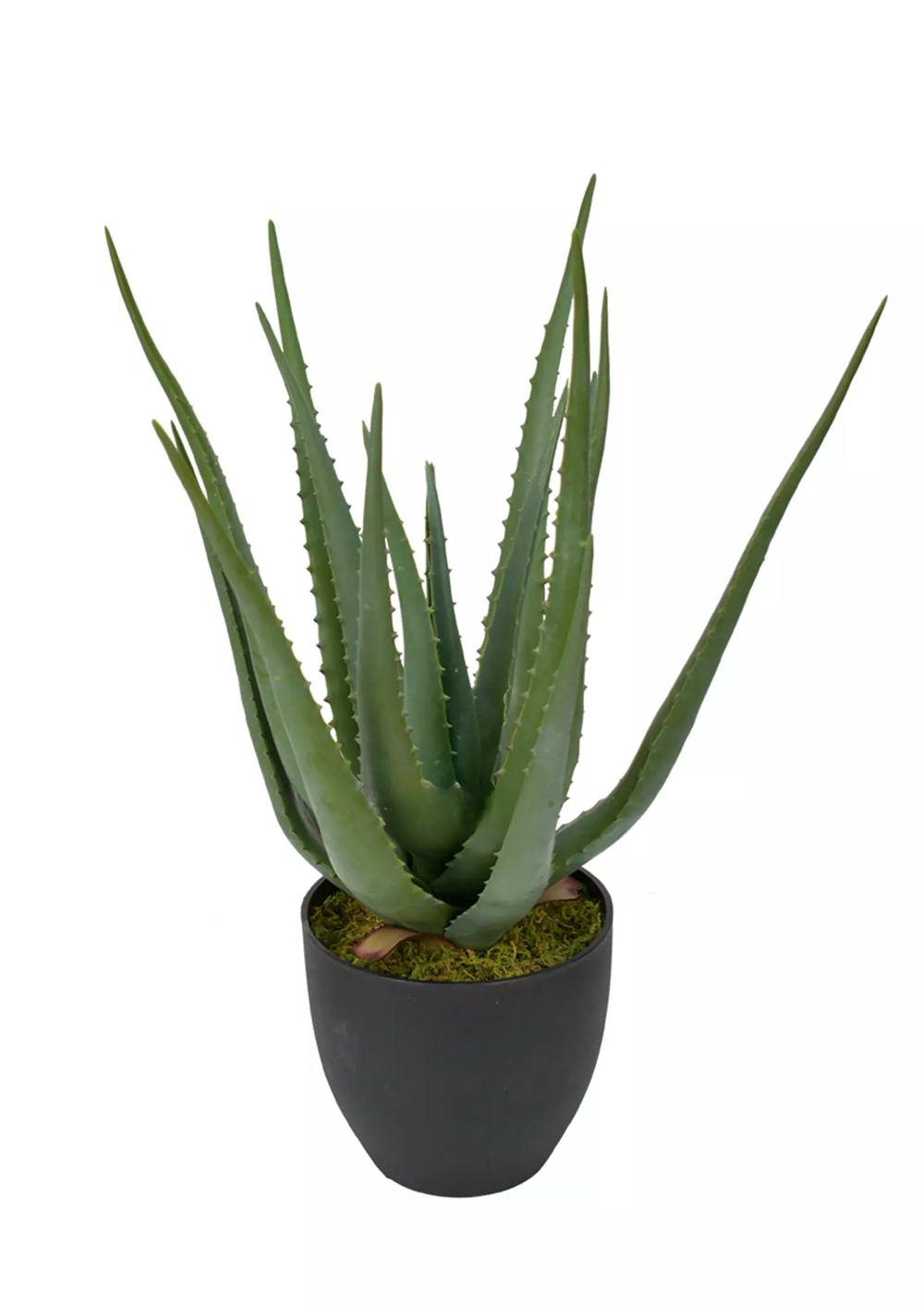 Алоэ в кашпо 55см