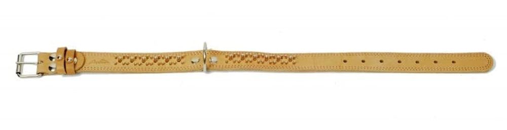 Ошейник (Аркон) 35мм, 52-70см украшенный средний