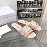 Christian Dior Dway Slide