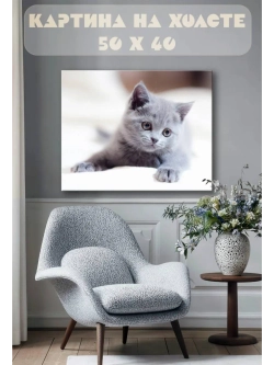 Картина на стену 40 X 50 Котенок