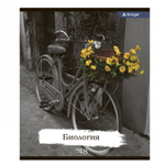 Комплект предметных тетрадей А5 48л.,10 предм., со справочным материалом, скрепка, мелованный картон(стандарт), блок офсет, Alingar "Город контрастов"