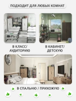 Шкаф для одежды DENDI loft