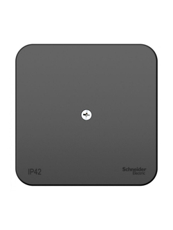Коробка распределительная ОП Blanca IP42 антрацит SE BLNRK000016