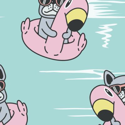 мопсы на мятном