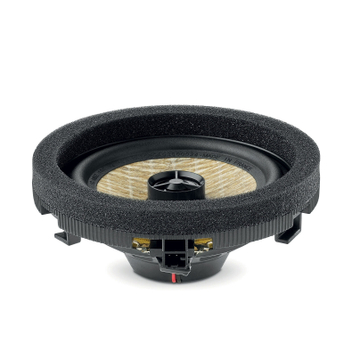 Focal IC MBZ100 V2
