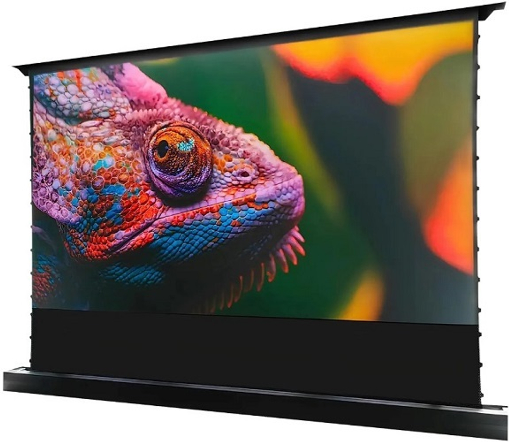 Экран  Cactus CS-PSFRCLR-221X125