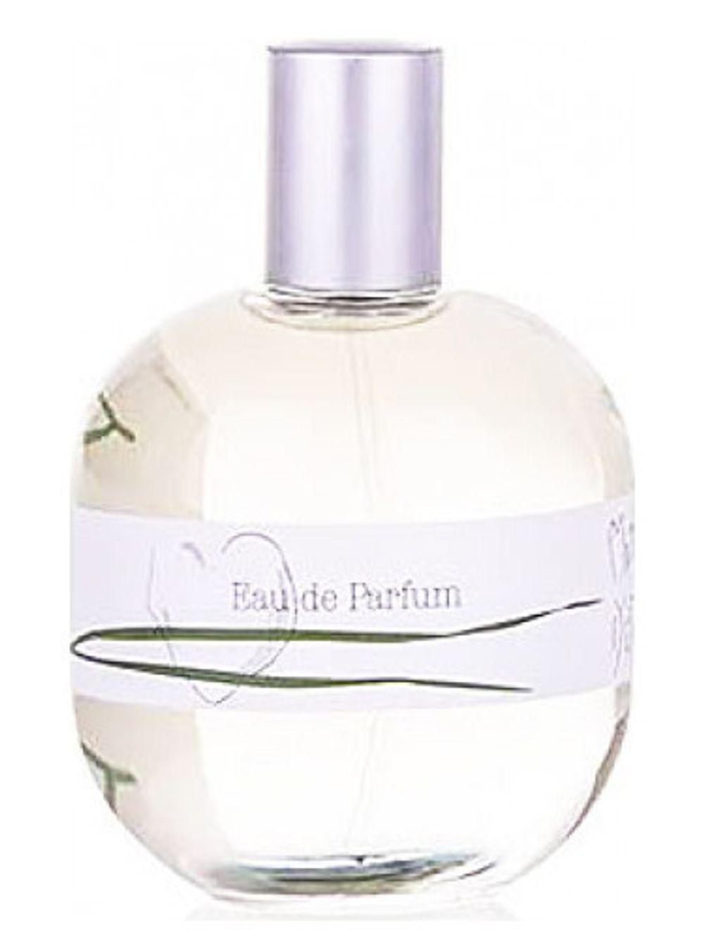 Place des Lices Matin d'Ete