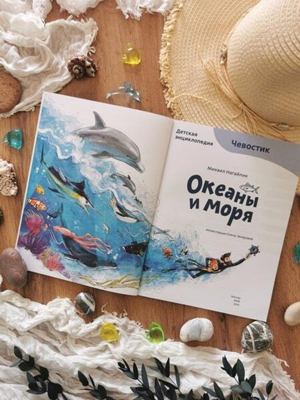 Океаны и моря. Детская энциклопедия (Чевостик) (Paperback)