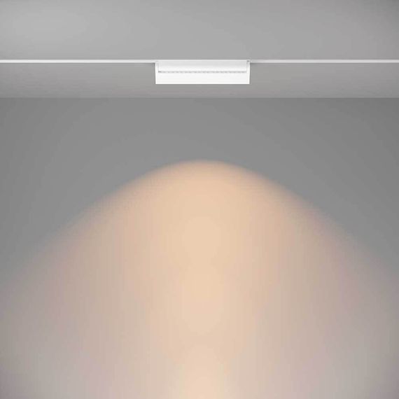 Трековый светодиодный светильник Maytoni Technical Basis Rot TR075-2-20W3K-W