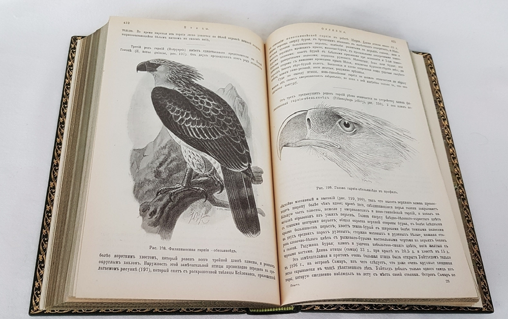 "Птицы". М.А.Мензбир. 1918г. - антикварное издание