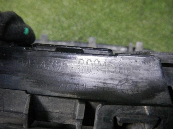 Решетка радиатора BMW X7 G07 (2019-2022)