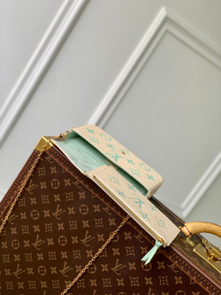 Louis Vuitton Felicie Pochette