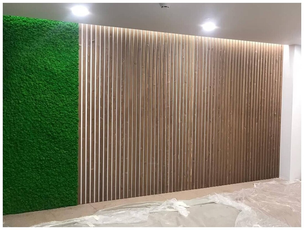 Панно из мха Ягель