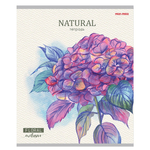 Тетрадь 24л., линия, Проф-Пресс, скрепка, офсет, мелованный картон "Нарисованные цветы", 5 диз. в спайке