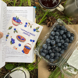 стикерпак «черничное лето»