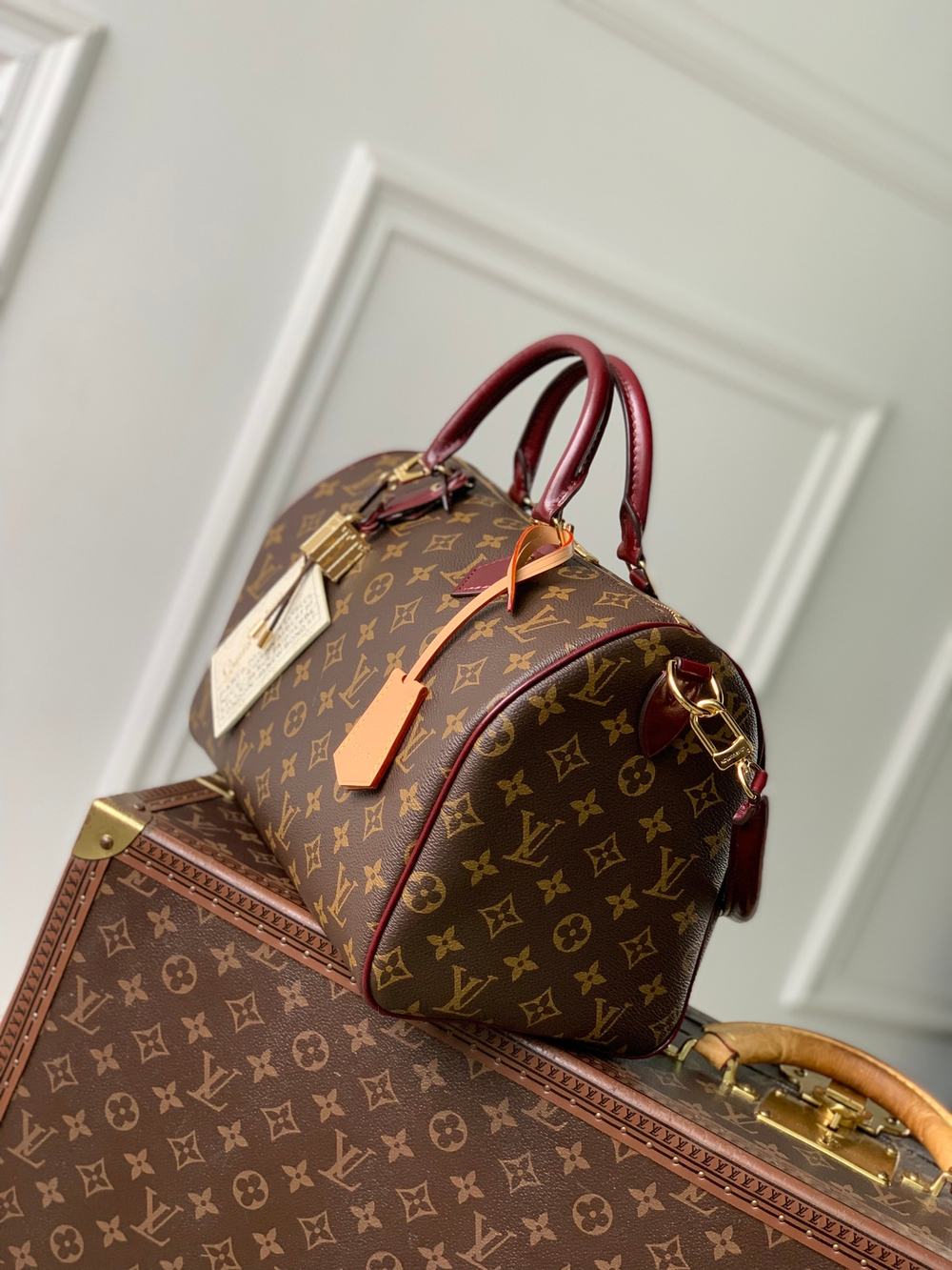 Louis Vuitton Speedy Soft 30