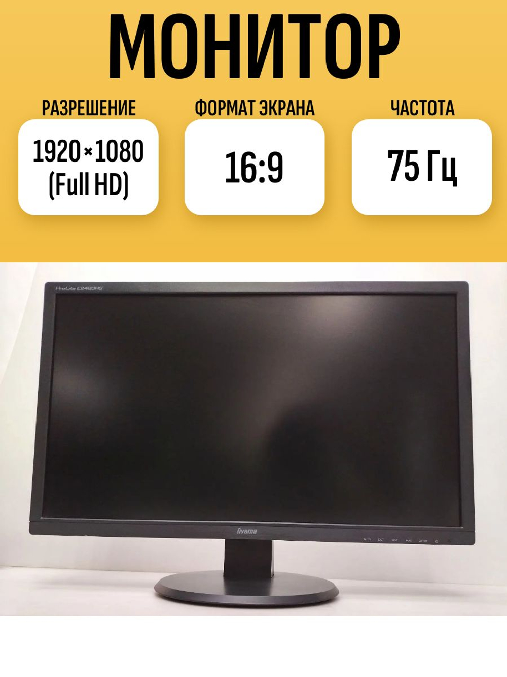 Монитор iiyama PL2483HS. Товар уцененный