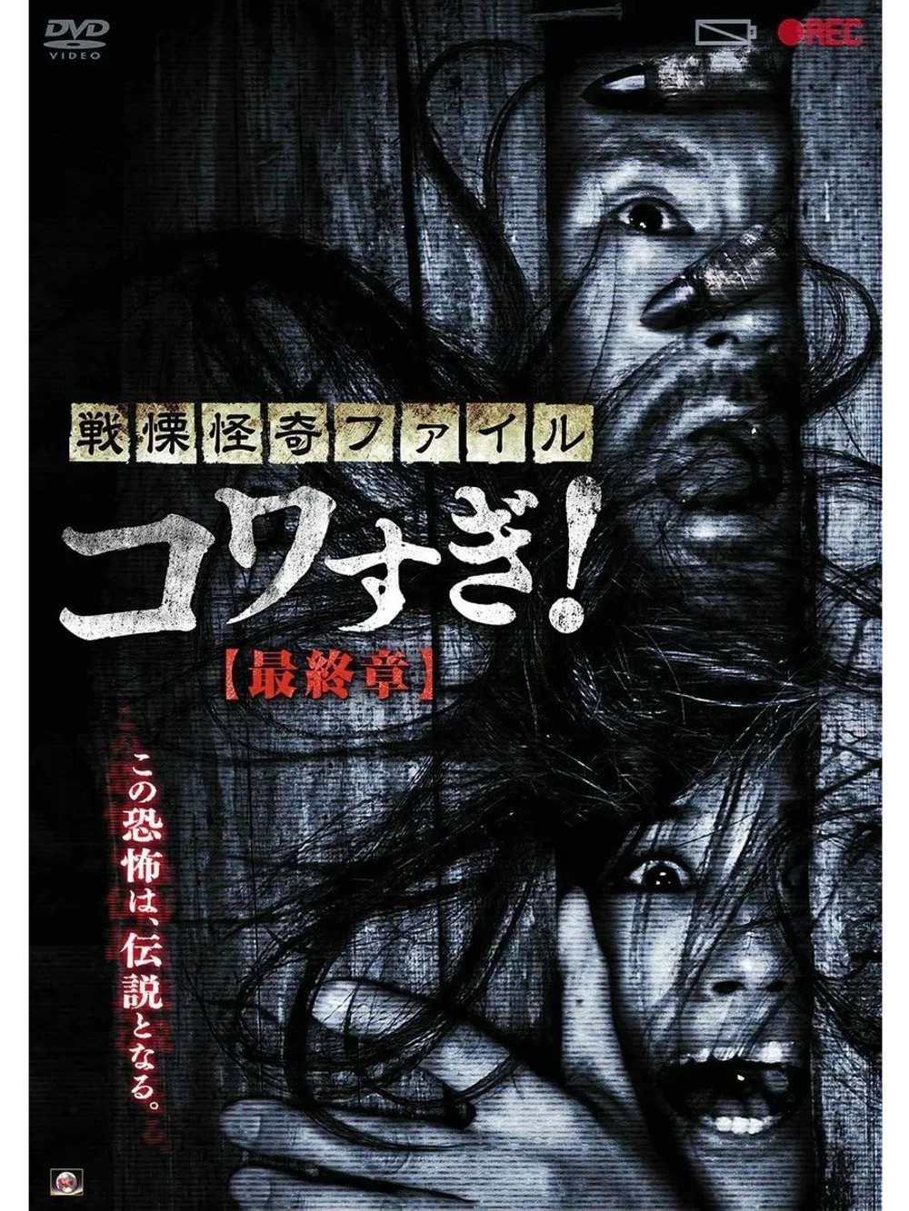 Ужасающие материалы: Последняя глава (2015) (DVD-R)