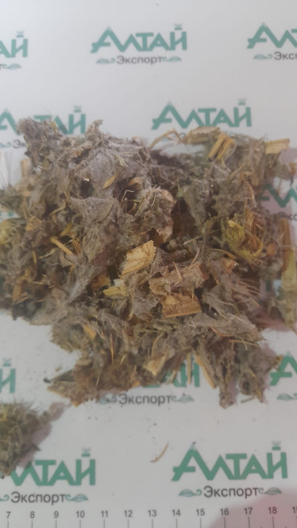 Татарник колючий трава