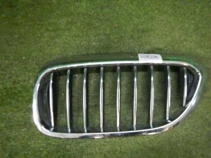 Решетка радиатора левая BMW 5er G30 (2017-2020)