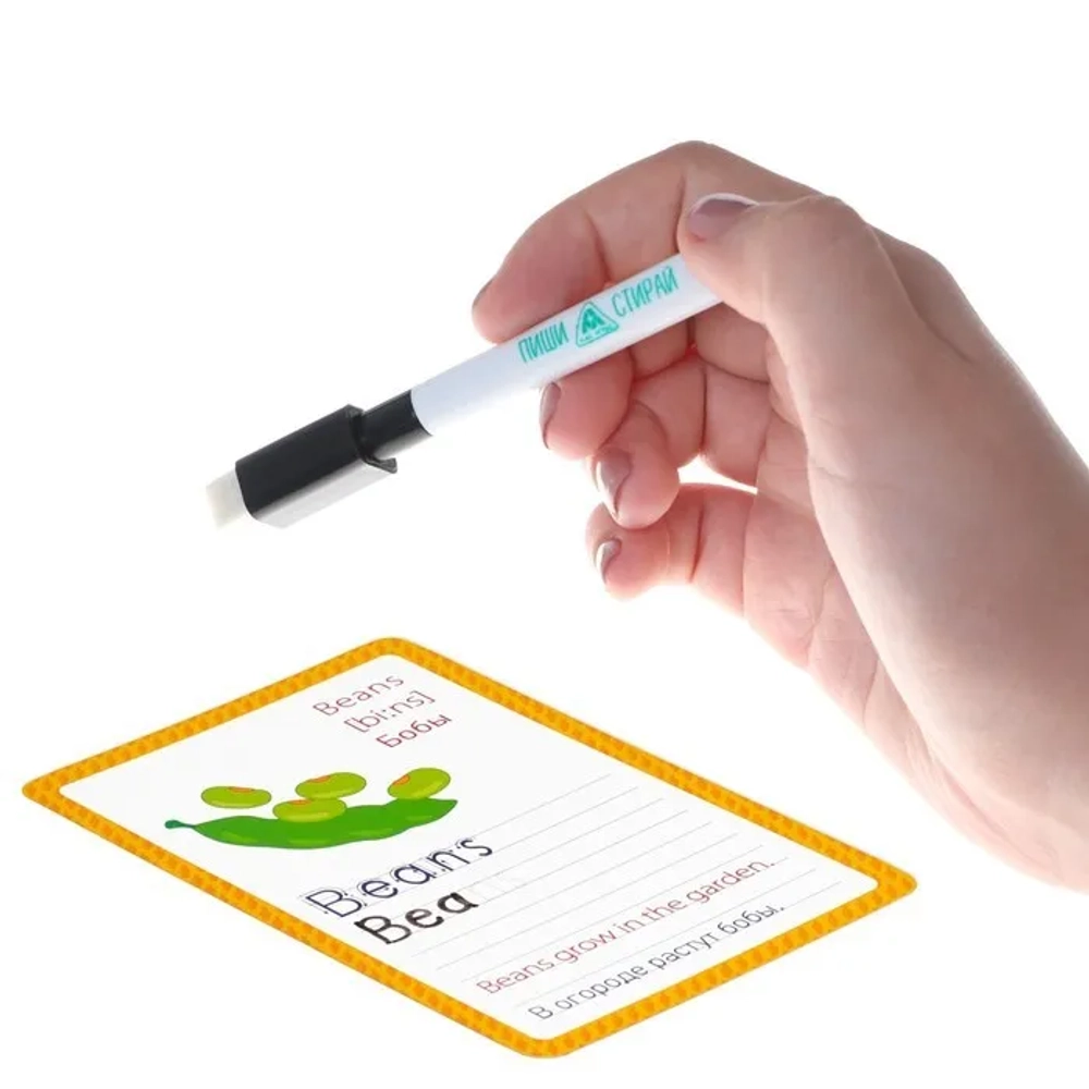 Развивающий набор пиши-стирай «Учимся писать. Fruits and berries», 15 карт + маркер