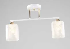 4355/2 WT+FGD (6) Люстра RL #