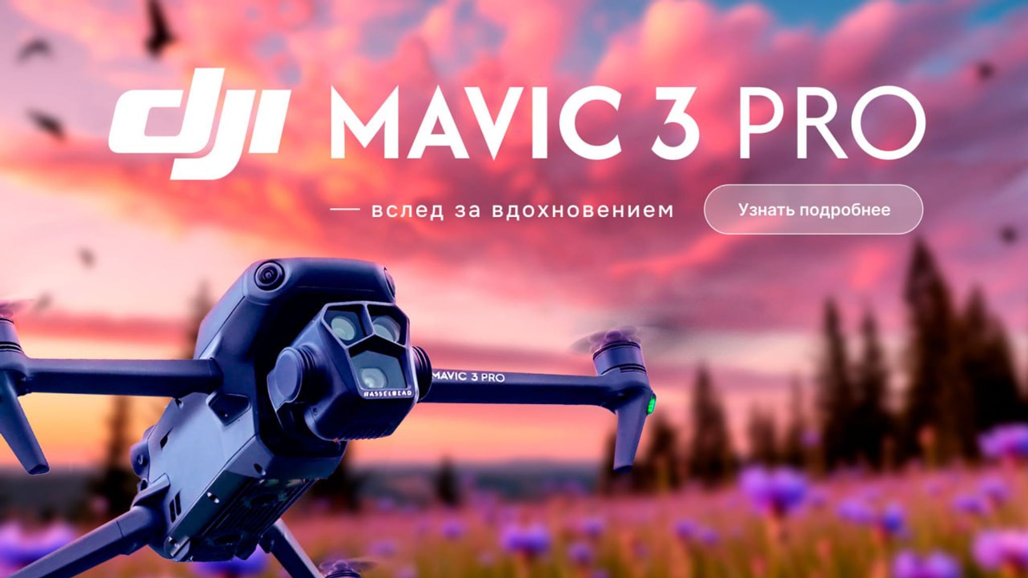 Слайды Блок 2
