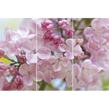 Плитка облиц Настроение бордовый   750х500