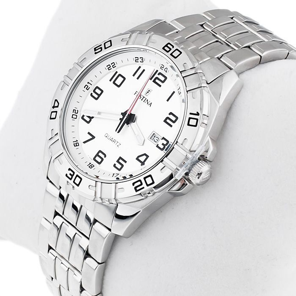 Мужские наручные часы Festina F16495/1