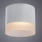 Потолочный светильник Arte Lamp Castor A5554PL-1WH
