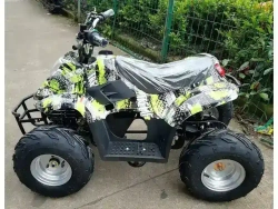 Электроквадроцикл Green Camel Гоби K50 (36V 800W R7 Цепной привод)