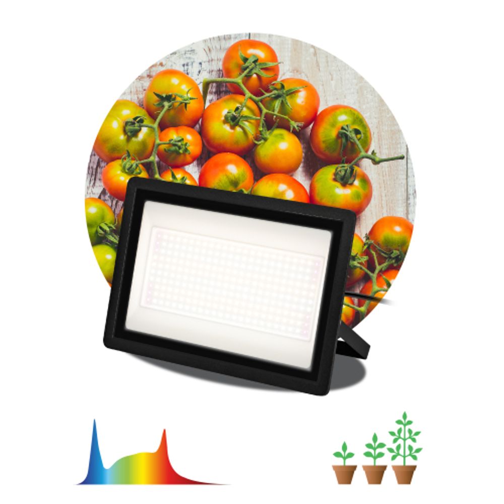 Фитопрожектор для растений светодиодный ЭРА FITO-150W-Ra90-LED полного спектра профессиональный 150 Вт