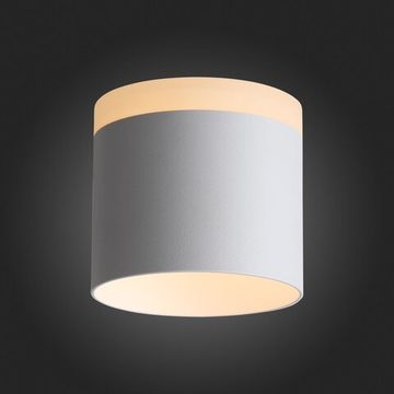 ST102.502.12 Светильник потолочный Белый LED 1*12W 3000K 936Lm Ra&gt;80 120° IP20 D100xH90 170-240V Накладные светильники