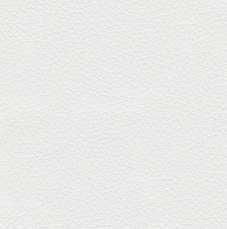 Искусственная кожа Найс вайт (Nice white)