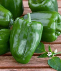 Фигаро F1 семена перца сладкого (Vilmorin / Вильморин)