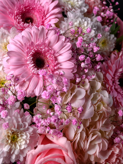 Начало любви *