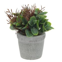 GAEM Цветочная композиция, L11 W11 H16 см, 2в.